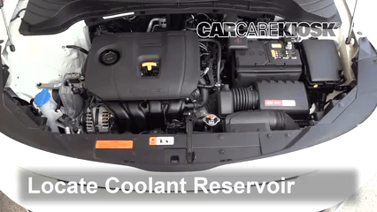 Check Power Steering Level Kia Soul (2020-2020) - 2020 Kia Soul LX 2.0L